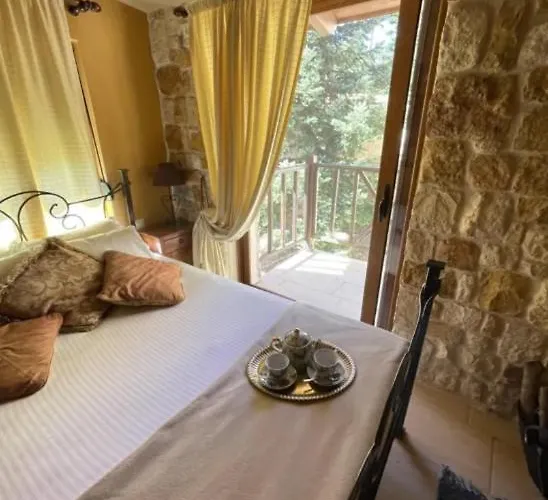 Mountain View 塞尼梅西奇卡罗